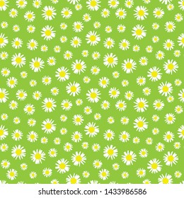 Green seamless pattern with Chamomile flowers