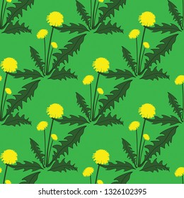 Green seamless pattern with yellow dandelion flowers