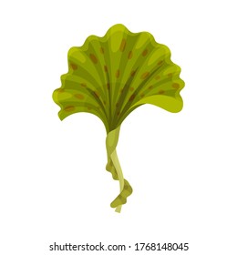 Green Seaweed as Multicellular Marine Algae Vector Illustration