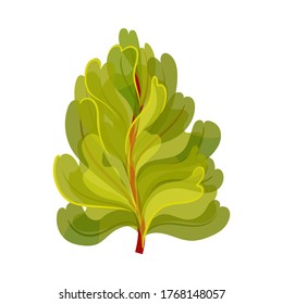 Green Seaweed as Multicellular Marine Algae Vector Illustration
