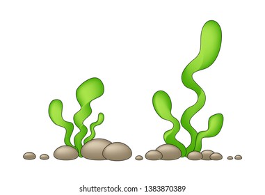 green seaweed and rock, pebble element decor isolated for game art architecture design