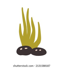 Green seaweed stone Doodle illustration underwater sea ocean marine algae nature flora Hand drawn nursery baby scandinavian style, kids clipart naive art