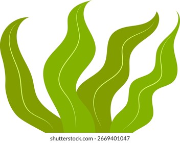 Ilustración plana de Vector de algas verdes