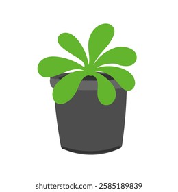 Green seedling in black cup in flat cartoon design. Stem plant growing in plastic pot, domestic greenhouse container for seeds germinating. Gardening, horticulture and farming. Vector illustration