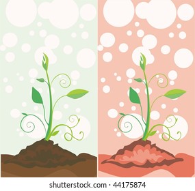 Green Seedling - Concept of a green world