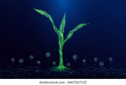 Green seedling corn growing from polygon fertile ground. With icon Oxygen Carbon Dioxide Water H2O and Cloud, Sun. Ad agricultural industry minerals fertilizer. Agriculture environment concept. Vector