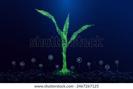 Green seedling corn growing from polygon fertile ground. With icon Oxygen Carbon Dioxide Water H2O and Cloud, Sun. Ad agricultural industry minerals fertilizer. Agriculture environment concept. Vector