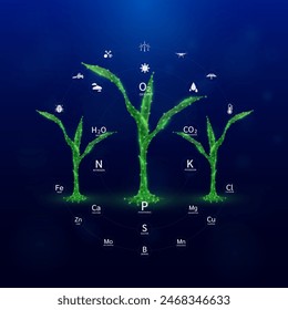 Green seedling corn with icon biotechnology and Oxygen Carbon Dioxide Water. Nutrients minerals necessary for plants growing. Nitrogen, Phosphorus, Potassium. Cultivation agriculture industry. Vector.