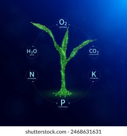 Plántula verde de maíz con el icono de oxígeno de dióxido de carbono de agua. Nutrientes minerales necesarios para el crecimiento de las plantas. Nitrógeno, fósforo, potasio. Concepto de medio ambiente de la agricultura de fertilizantes. Vector