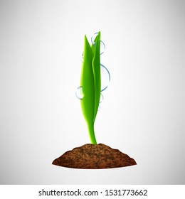 Green seedling with dew drops grows from the ground, a small sprout, young plant, vector.