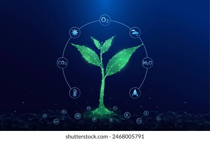 Plántulas verdes que crecen de la tierra fértil del polígono. Con icono Oxígeno Dióxido de Carbono Agua H2O y Nube, Sol. Y fertilizante minerales de la industria agrícola. Concepto de medio ambiente agrícola. Vector.