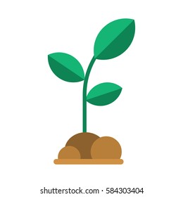 Green seedling with leaves and soil. Abstract growing plant vector illustration. Spring sprout icon in flat design. Growing and gardening symbol.