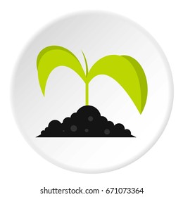 Green seedling in soil icon in flat circle isolated vector illustration for web