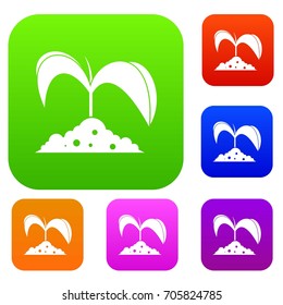 Green seedling in soil set icon in different colors isolated vector illustration. Premium collection