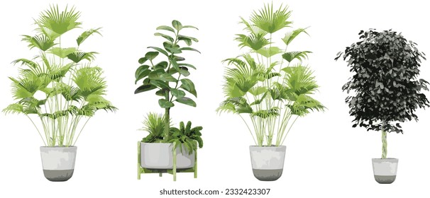 Green and Serene, Beautiful Transparent Plant Cut-Outs transparency backgrounds illustration png