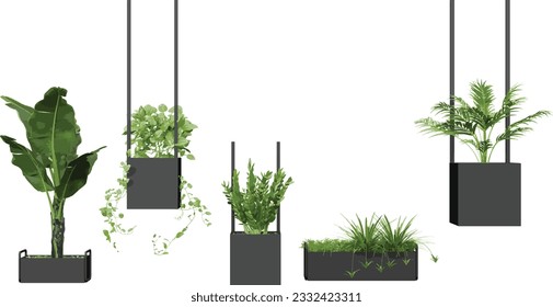 Green and Serene; Beautiful Transparent Plant Cut-Outs