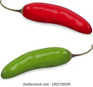 Green serrano chill peppers. Chile serrano or serrano chilis. Chili pepper. Capsicum annuum. Fresh organic vegetables. Vector illustration isolated on white background.