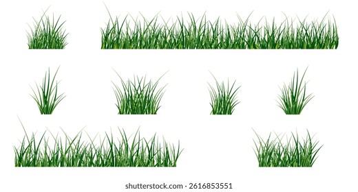 Green set of grass borders, bushes on white background, vector illustration