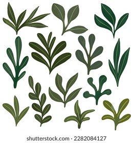Green set of leaves for design. Various spring leaves for background.