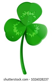 Green shamrock clover leaf with dew drops. Lucky trefoil symbol of St. Patrick's Day. Isolated on white vector cartoon icon illustration