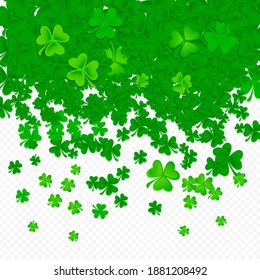 Green shamrock and clover on transparent background, St. Patrick's Day celebration and irish symbol, vector illustration	
