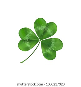 Green Shamrock leaf symbol of luck. Isolated on white illustration. Clover decoration as a symbol of irish cultural. St Patricks day symbol. Clover vector logo.