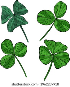 Green shamrock leaves isolated on white. Hand drawn vector illustration. Eps10