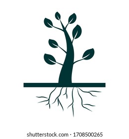 Green shape of Tree with Leaves and Roots. Vector outline Illustration. Plant in Garden.