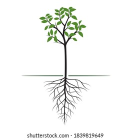 Forma verde de árbol con hojas y raíces. Ilustración del contorno del vector. Planta en el jardín.