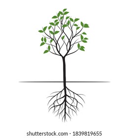 Green shape of Tree with Leaves and Roots. Vector outline Illustration. Plant in Garden.
