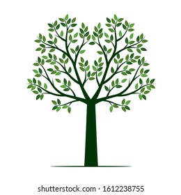 Green shape of Tree with Leaves. Vector outline Illustration. Plant in Garden. Nature