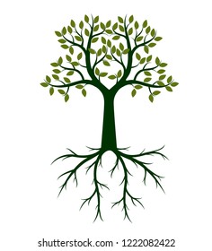 Green shape of Tree and Roots. Vector Illustration. Plant in garden.