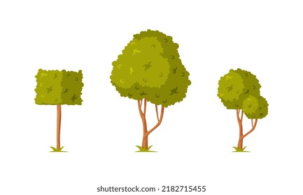 Green Shaped Bush with Lush Foliage as Park Zone Element Vector Illustration Set