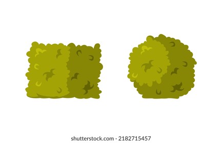 Green Shaped Bush with Lush Foliage as Park Zone Element Vector Illustration Set