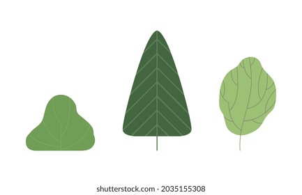 Green Shaped Tree as Nature and Environment Element Vector Set