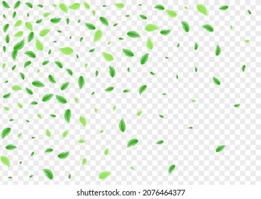 Green Sheet Background Transparent Vector. Plant Growing Frame. Aroma Illustration. Light Green Pattern Design. Vegetation Cosmetic.