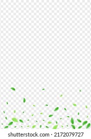 Green Sheet Background Transparent Vector. Greenery Label Design. Botanical Card. Light Green Cover Texture. Leaves Growing.