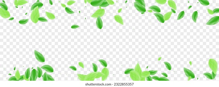 Green Sheet Background Transparent Vector. Greenery Mint Illustration. Garden Design. Light Green Park Frame. Foliage Concept.