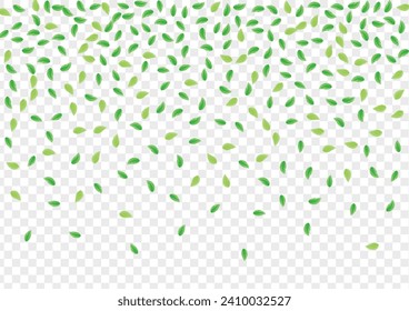 Green Sheet Background Transparent Vector. Leaf Mint Texture. Herbal Design. Light Green Environment Frame. Foliage Subtle.