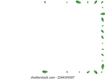Green Sheet Background White Vector. Plant Food Illustration. Flora Frame. Light Green Rustic Card. Foliage Park.