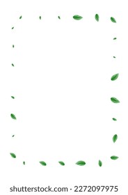 Green Sheet Background White Vector. Leaf Border Card. Vitality Texture. Light Green Cosmetic Frame. Vegetation Eucalyptus.