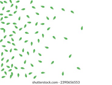 Green Sheet Background White Vector. Plant Flavor Illustration. Light Texture. Greenish Park Card. Leaves Simple.