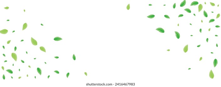 Green Sheet Background White Vector. Leaf Grow Frame. Botanical Design. Light Green Banner Texture. Vegetation Line.