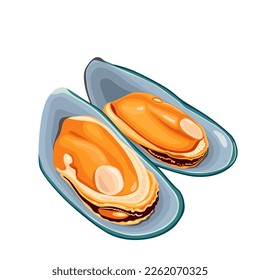 Green Shell mussels isolated on white background, Fresh New Zealand mussels  on  illustration vector isolated on white background