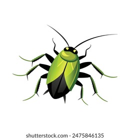 insecto de escudo verde aislado sobre fondo blanco