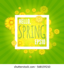 Green Shining Spring Background with Burst, Flowers and Place for Text. Seasonal Space. Vector illustration