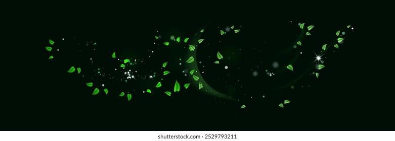 Green shiny line spiral spring wind effect with dust particles and leaves particles on black background. Concept of freshness, growth, spring, summer and ecology.