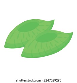 Green shoe cover icon isometric vector. Medical protection. Plastic protect