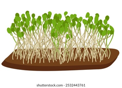 Green shoots on the ground