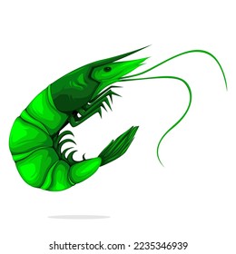Green Shrimp Vector Isolated on White Background